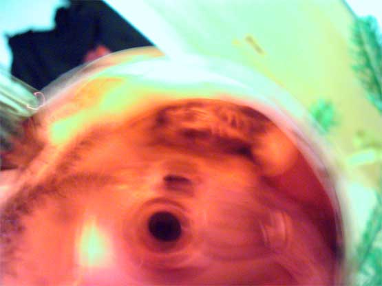 Subject Pic